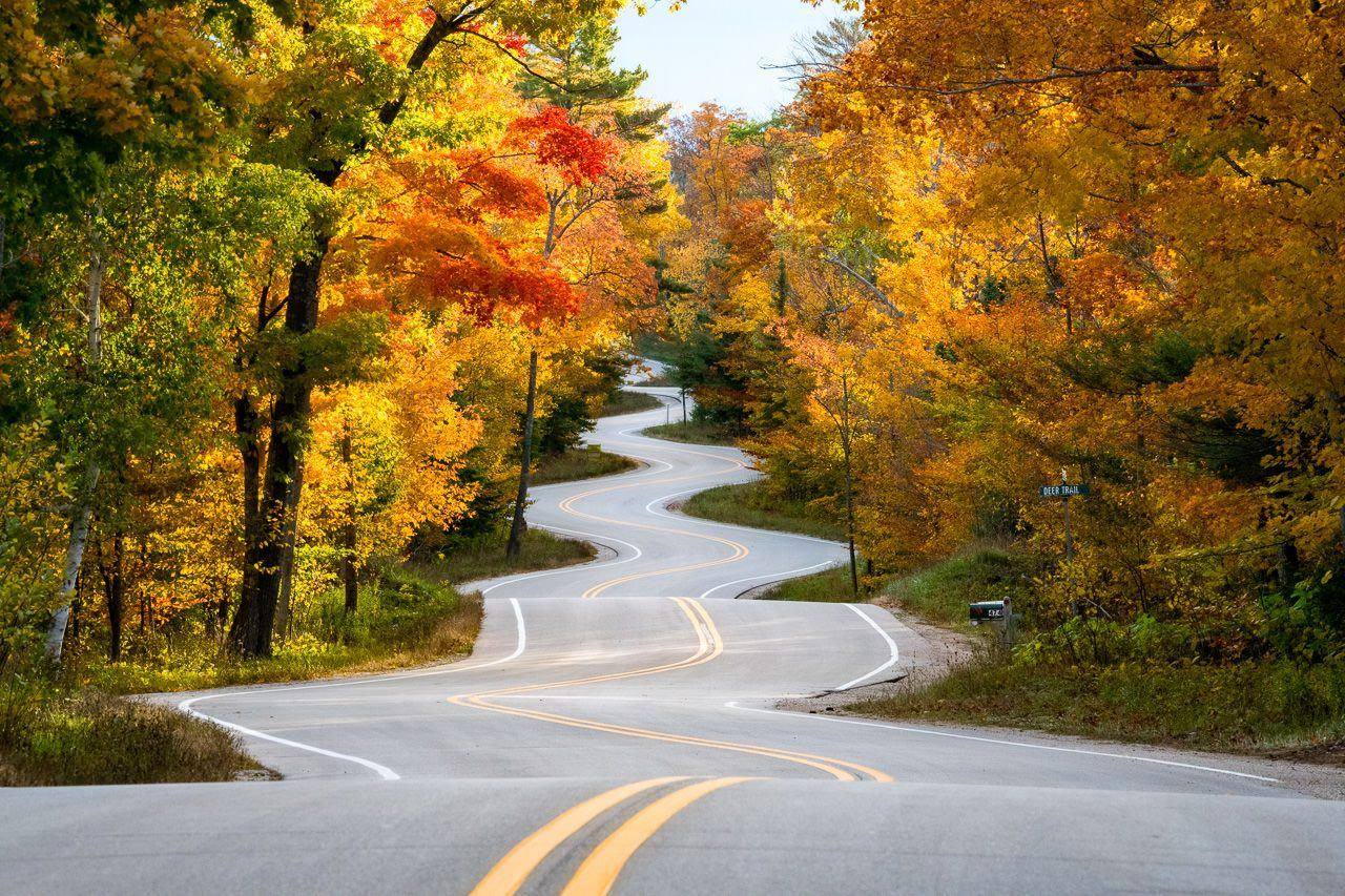 A winding two-lane road through autumn forest